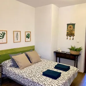 Palmeras , Pizarra España